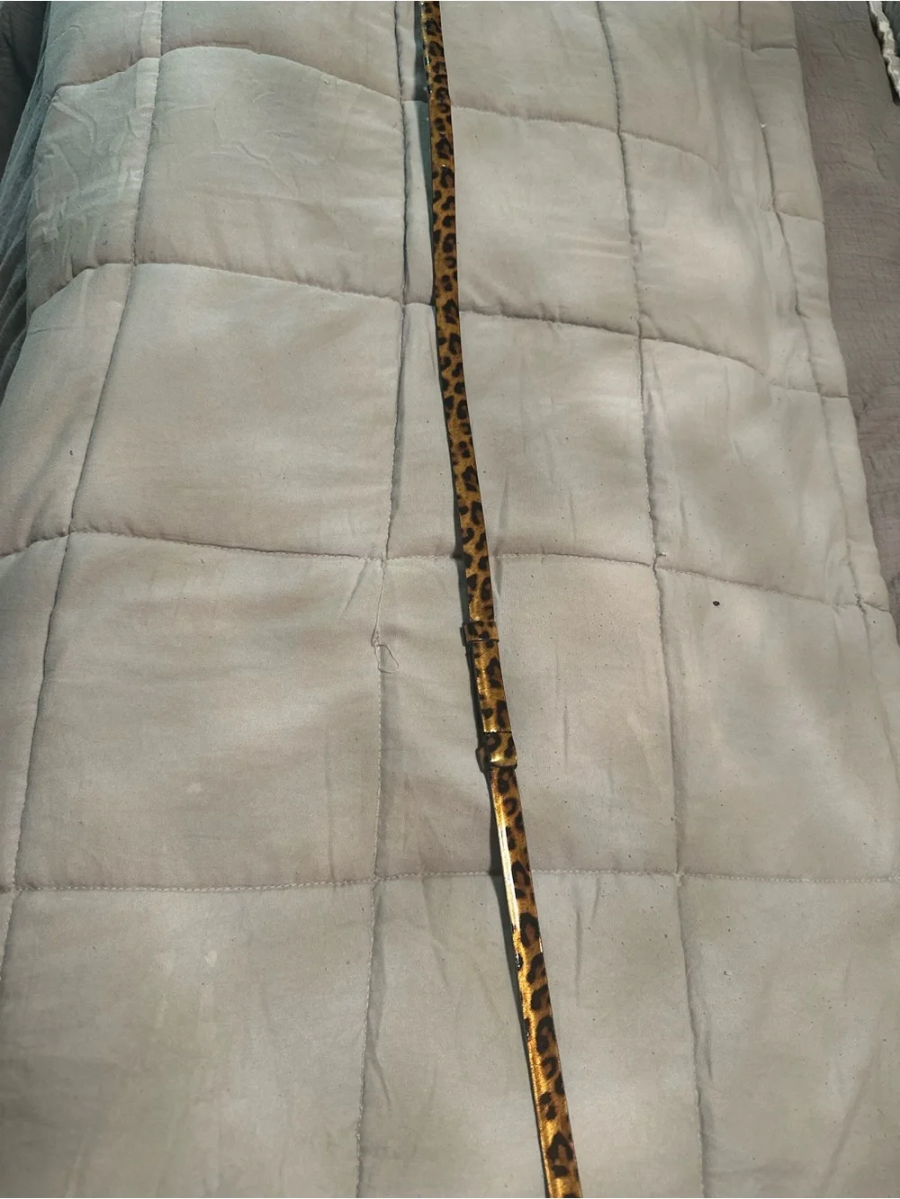 Leopard Print belt-adjustable